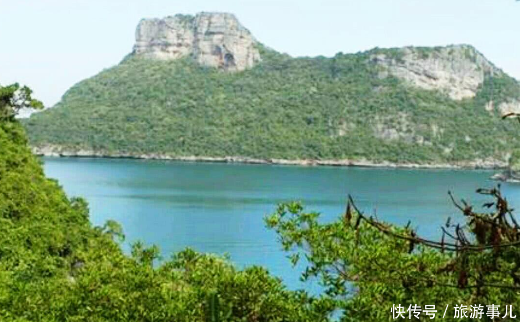 浙江最"神秘"的无人岛,荒废30年,整个岛屿被植物占领!