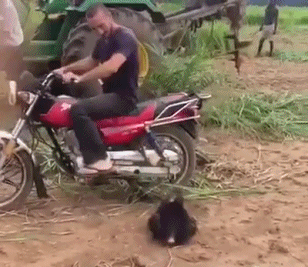 男人可以不帅,但一定要骚!