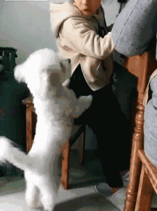 措不及防的一个吻