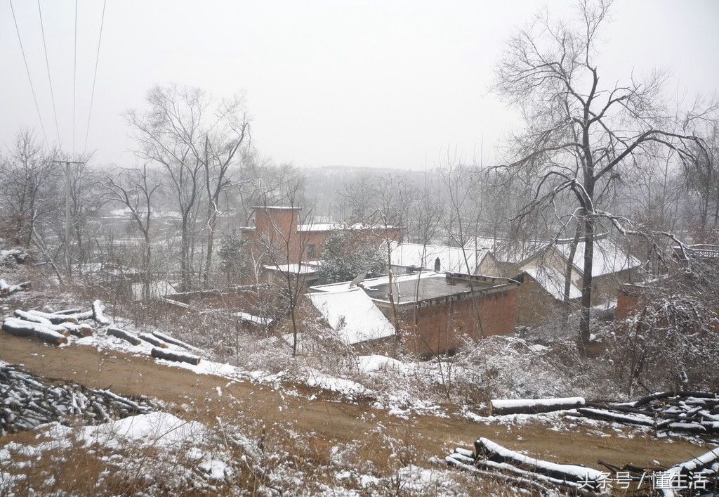 北方农村今年第一场雪,早上的场景实在太美,看完你想家了吗?