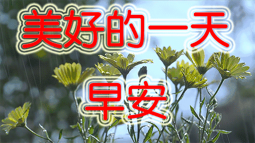 适合早上发的朋友圈早安图片,送给群里每一位朋友,请收下!