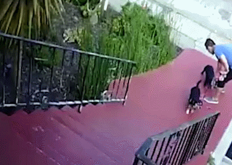 别的狗狗都是胖成球,腊肠狗胖起来就是圆柱体,滚下楼梯好心酸!