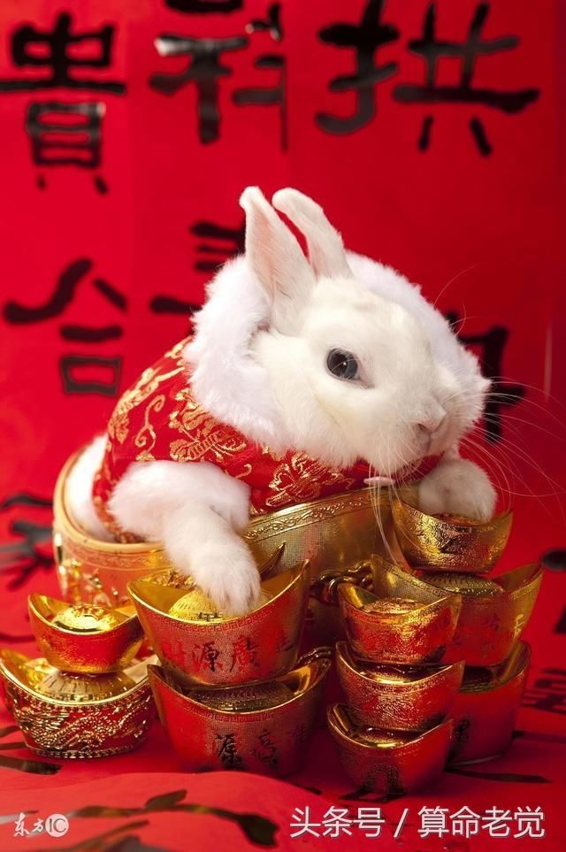 属兔吉祥图,属兔男适合什么头像 二, 2018年戊戌狗年,与属兔人六合,大利人缘发展,人缘好自然贵人多