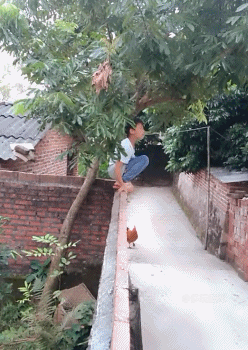搞笑gif:妹子你口干就去倒杯水喝!在这里一味舔来舔去