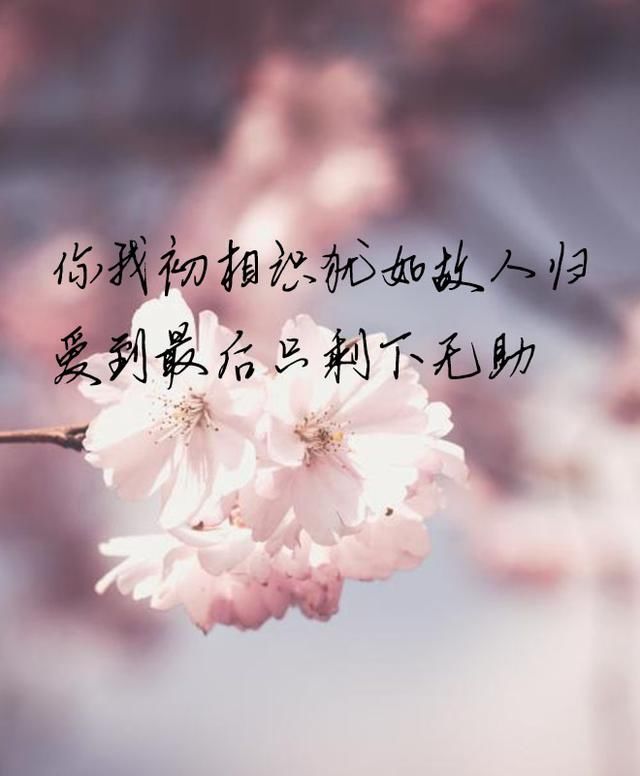 文/昕月蓝殇 有一种伤感,没有人懂得,在寂静的夜,想想明天的方向.