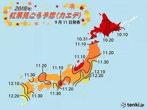 日本天气网站 weathernews 公布了今年的红叶预测