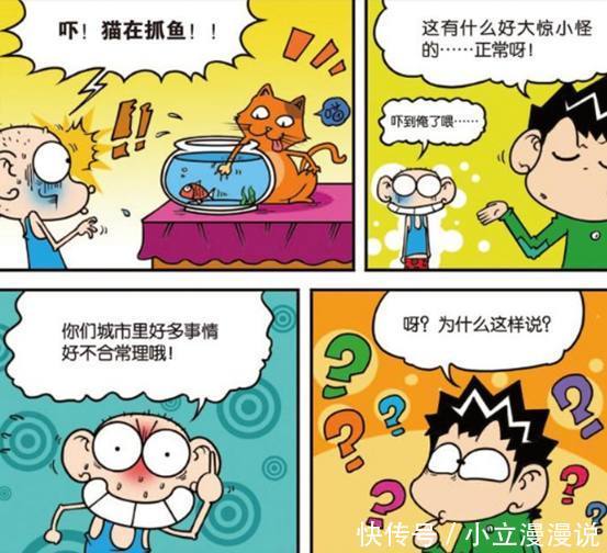 爆笑校园:呆头要"裸捐"呆爸?呆妈:熊孩子!你有问过我吗