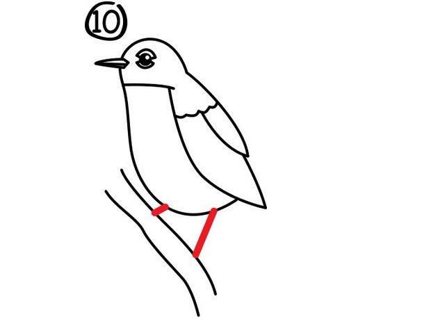 8种常见飞鸟类育儿简笔画,开发宝宝智力,简单又好画