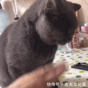 骚年,敢跟鳄鱼过招,没被咬死算你万幸 搞笑段子: 一美女在等公交车