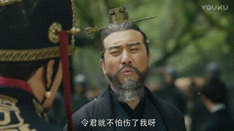 刘涛主演的《大军师司马懿之军师联盟》再次刷起了火热的三国之风