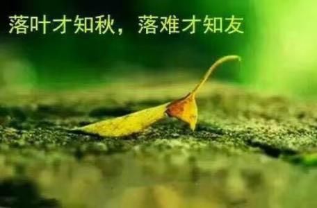 写给天下没心眼的实在人,简直句句入心!