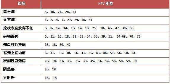 hpv的基础知识 用俗话说hpv