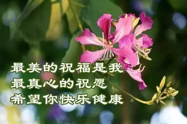 明日立春,最暖的祝福,送给我最珍惜的朋友!愿你平安健康幸福!
