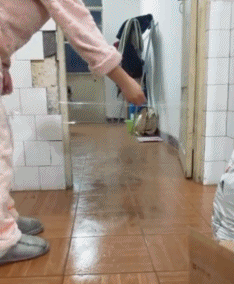 1,该说胶带质量好,还是磁砖贴的差呢?狗子不愧是拆家小能手!