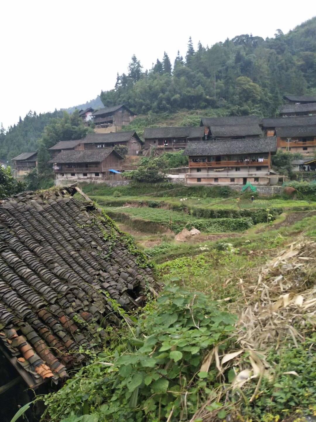 贵州山里农村,看起来也冷冷清清,是不是人都也外出打工了