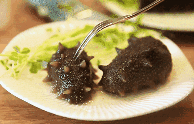 大连鲜食海参 营养比传统水发海参高三倍* 食用更方便 替您守住