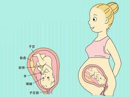胎儿体重是由什么决定的?为什么刚出生的宝宝体重会各