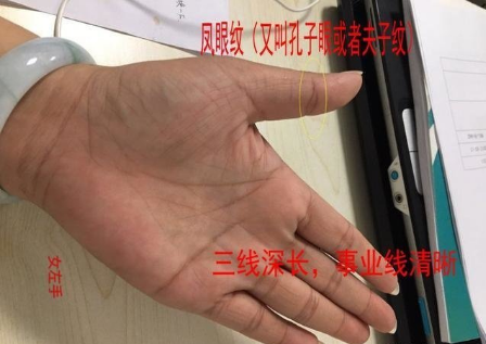 事业线手腕处杂纹,要注意腰部之疾.