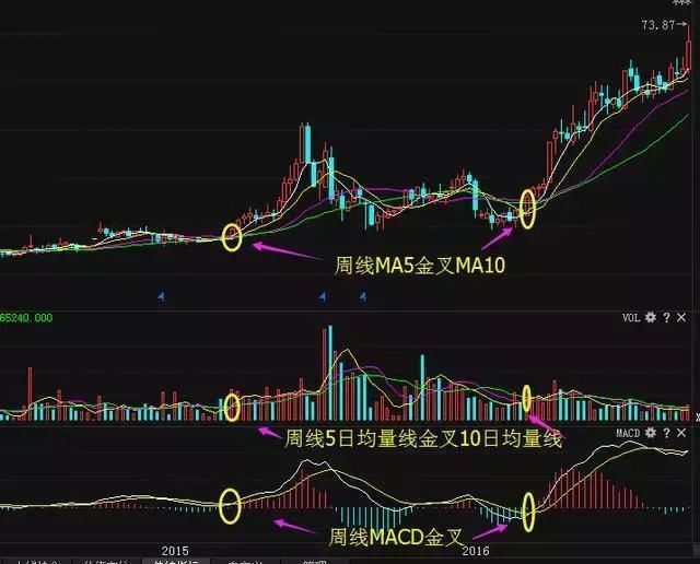 顶级操盘手告诫散户:若炒股只会macd金叉买死叉卖,亏到倾家荡产