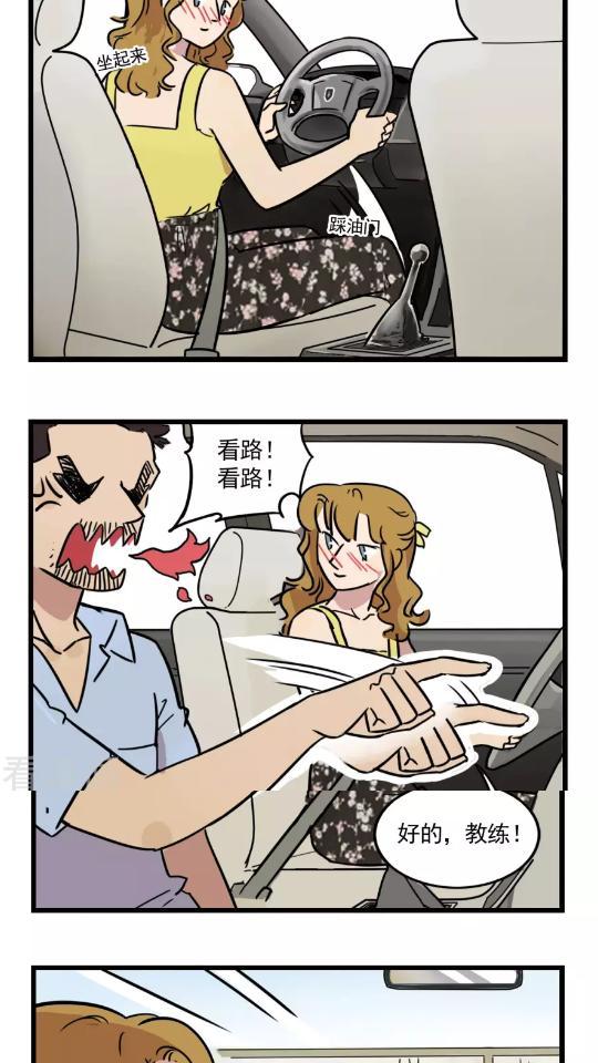 漫画:第一次学开车!