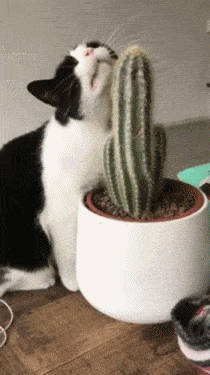 美女,你这睡姿真奇葩,第一次见这样也能睡着的