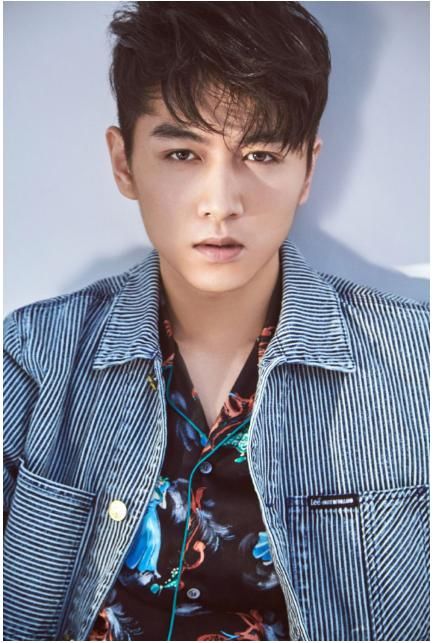 中国十大最帅男明星排名,鹿晗第三林志颖仅排第七,第一名是他
