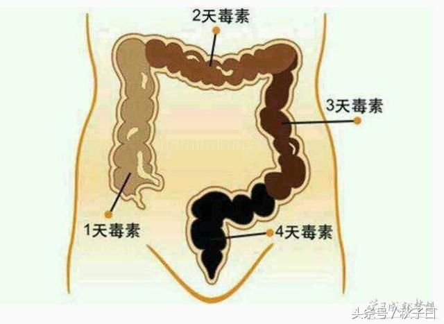 起床喝下它 一小时内把10年宿便全排光 一次见效