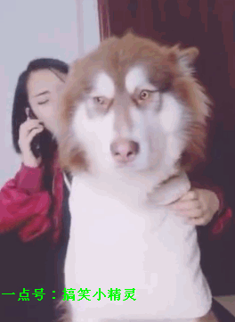 搞笑gif:女人心海底针,翻脸比翻书还快!