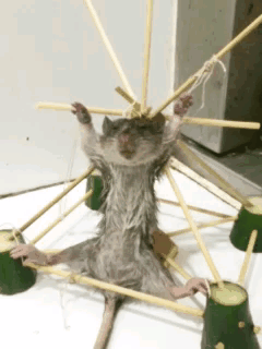 搞笑gif图:波涛汹涌的海面,让人看着真是心胸宽广!