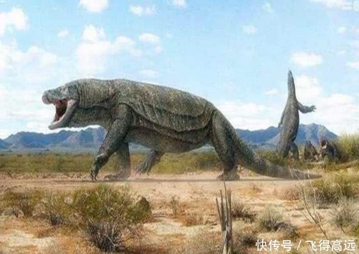3,古巨蜥,生存于更新世(即二百多万年到一万多年前)的一种史前巨蜥