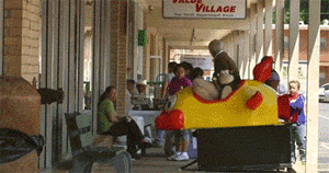 搞笑gif趣图:你看到了没,这大概就是不让女朋友去健身房的主要原因!