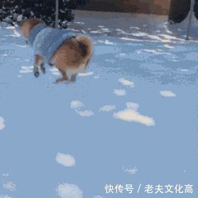 搞笑gif: 睡前刷牙的你突然想得到今天上班没打卡