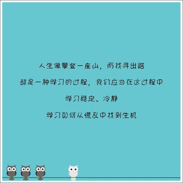不在乎有的,不惦记没的,不害怕失去的,不追求强扭的
