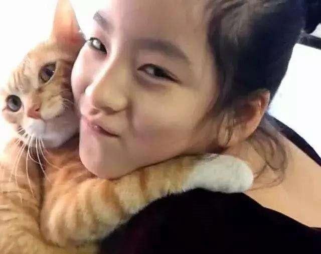 当主人靠近猫咪时,突然被搂住了脖子,网友直呼惊喜又有爱