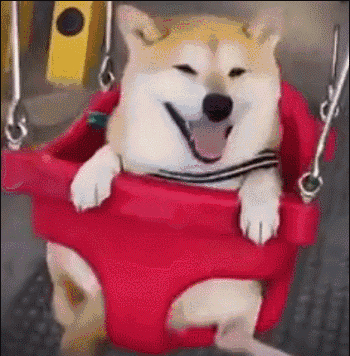 天津春节天气发布!天气乱套了.