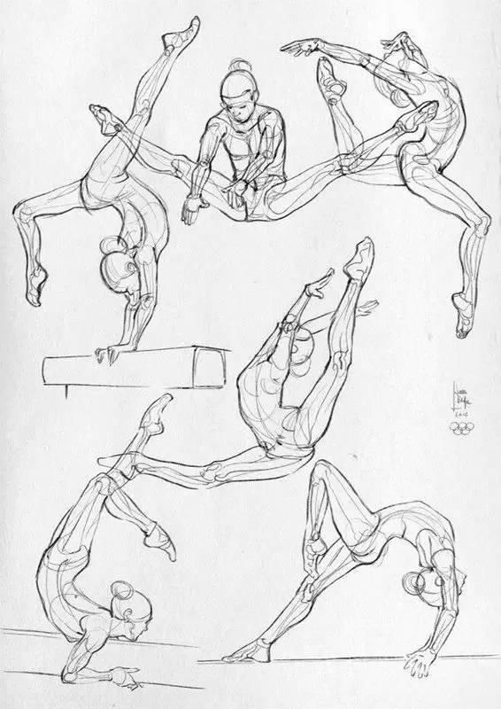 素描,速写 人体结构资料