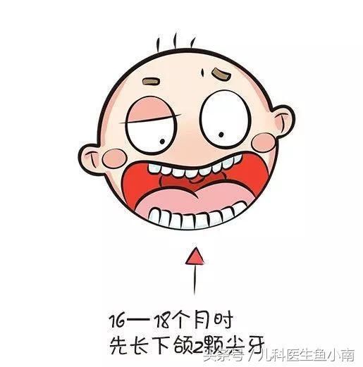 宝宝出牙晚就是缺钙?关于出牙这件事,医生有4点要叮嘱爸妈