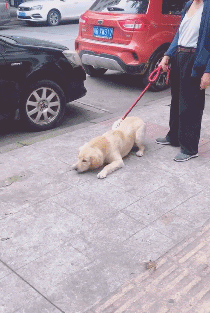 爆笑gif:这游戏有小姨子捣乱,私房钱迟早会输完
