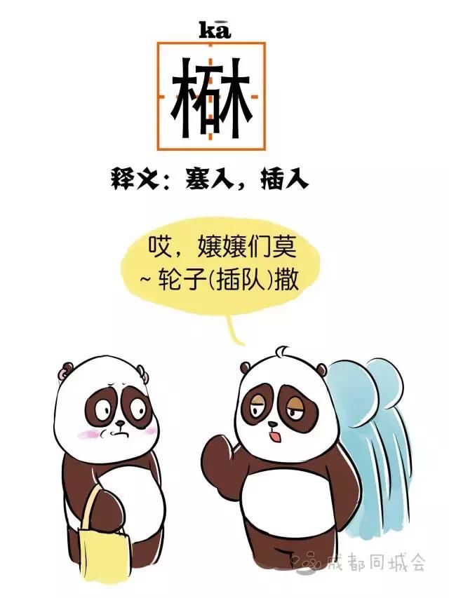 这12个字成都人会说不会写,第一个就打脑壳!