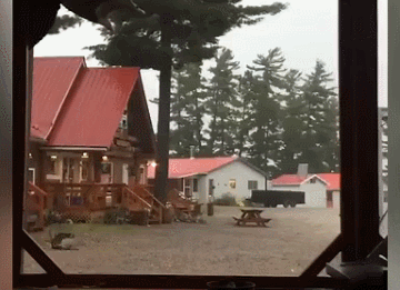 一道闪电击中布赖森湖旅馆旁边的一棵大树,随后被雷电劈断的树枝砸向