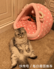 搞笑gif图:姑娘这样下去找不到男朋友的,以后别再淘气