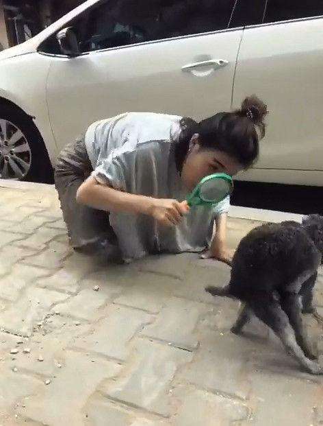 这女子就拿着放大镜一本正经的在看着两只狗,难道这是第一次看见这