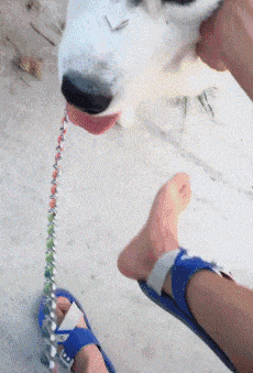 对不起,你太天真 算了算了不穿运动鞋了 那就穿拖鞋吧 既没有鞋垫也