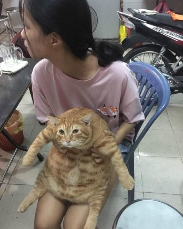 搞笑囧图内涵段子:后面的大哥在琢磨怎么样才能跟他一