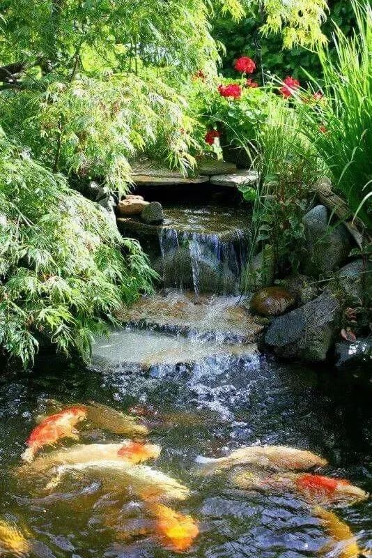 家庭园艺|庭院花园里的自然水池,这样来做 水景可以这样造!