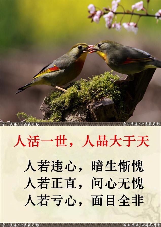 人活一世,人品大于天