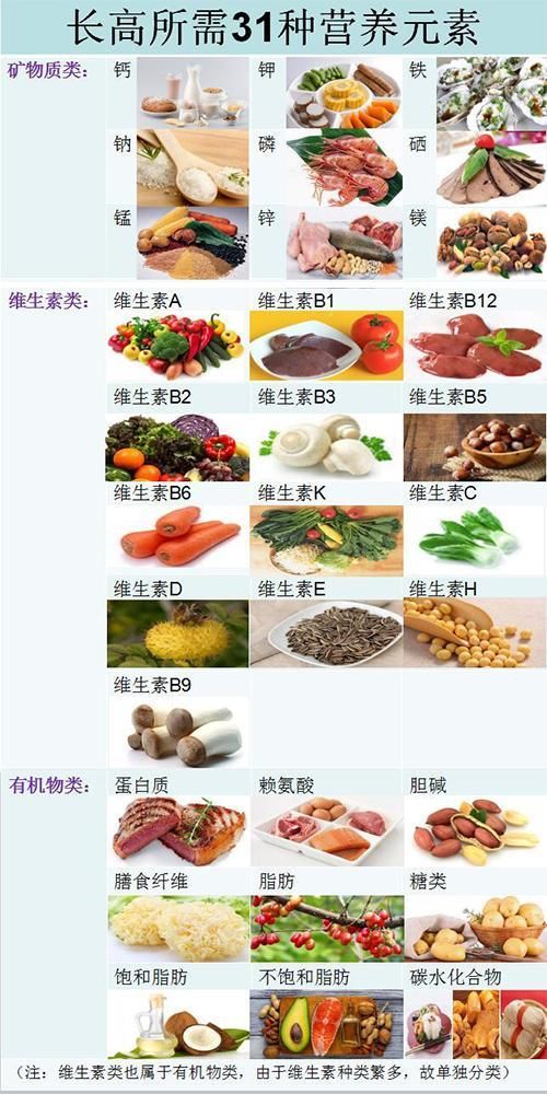 儿童长高食谱:这样吃长高个儿!