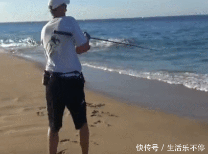 海边钓鱼,海浪汹涌,最后大鱼拉了上来,这鱼钓得不容易