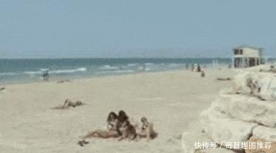 搞笑gif:看着好心酸,有手有脚还有理由不努力吗?