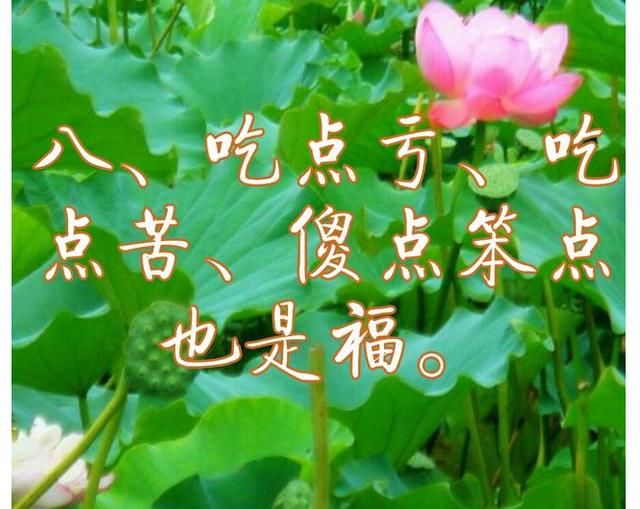 为人不要太计较,吃亏吃苦,傻点笨点都是福.